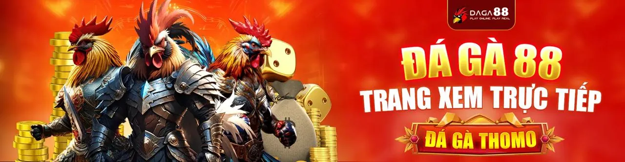 Đá gà Thomo Code trực tiếp tại đấu trường