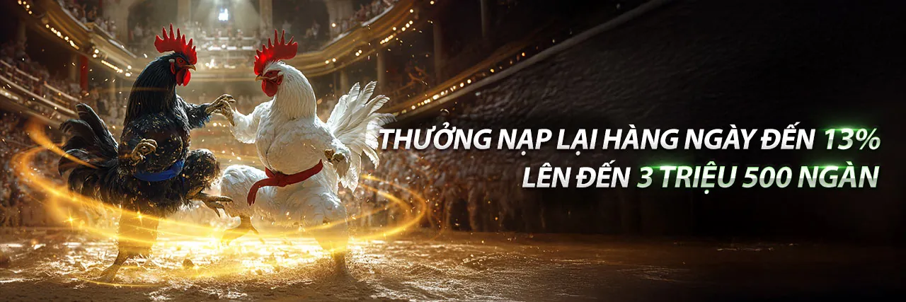 Sòng bạc trực tuyến Thomo Code với các trò chơi đa dạng