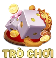 Giải thích Thomo Code
