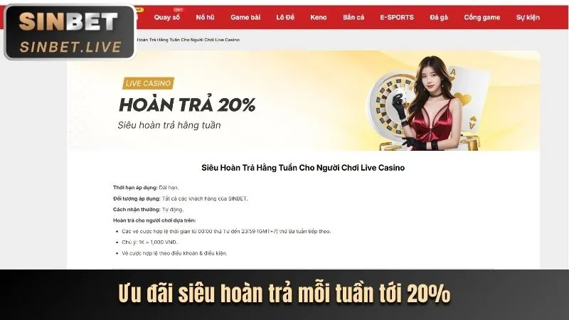 Chương trình hoàn trả không giới hạn Thomo Code